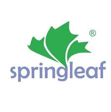 WhatsApp Business Suite 81 Springleaf Hospital