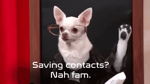 How to Send Broadcast Messages on WhatsApp 1 dog